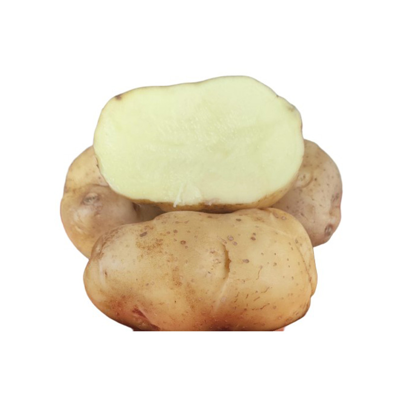 Столовый картофель