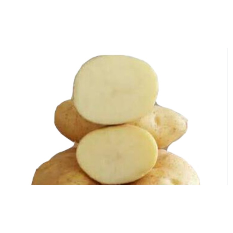 Столовый картофель