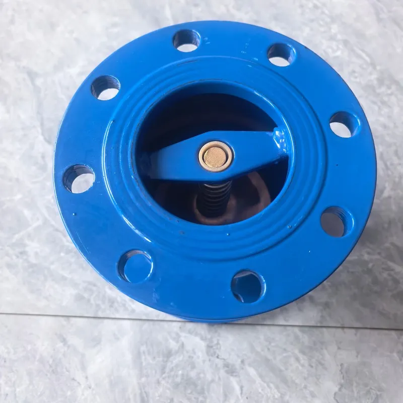 Бесшумный обратный клапан с приварным фланцем из углеродистой стали HC41X-16