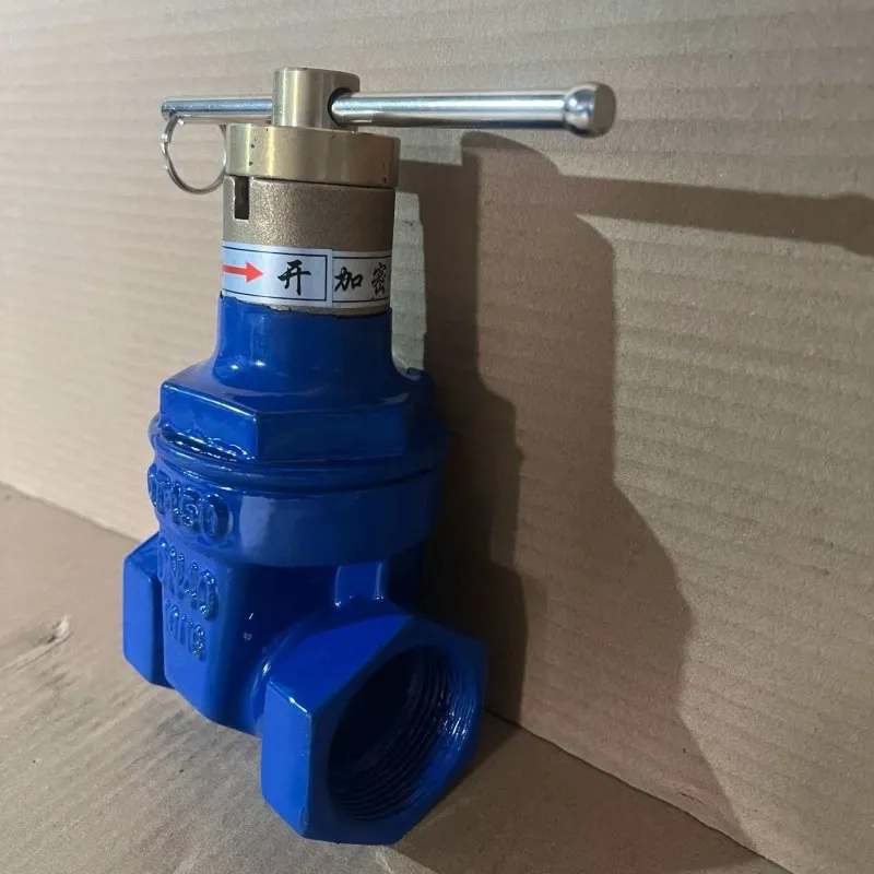 Задвижка с магнитным зашифрованным резьбовым уплотнением и мягким фиксатором