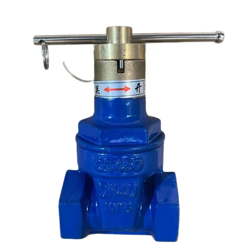 Задвижка с магнитным зашифрованным резьбовым уплотнением и мягким фиксатором