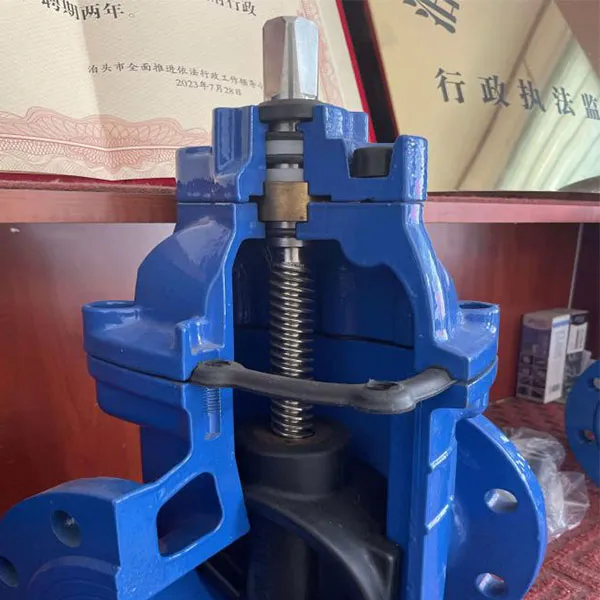 Описание продукта задвижка с мягким уплотнением темного стержня (Z45X-16Q)