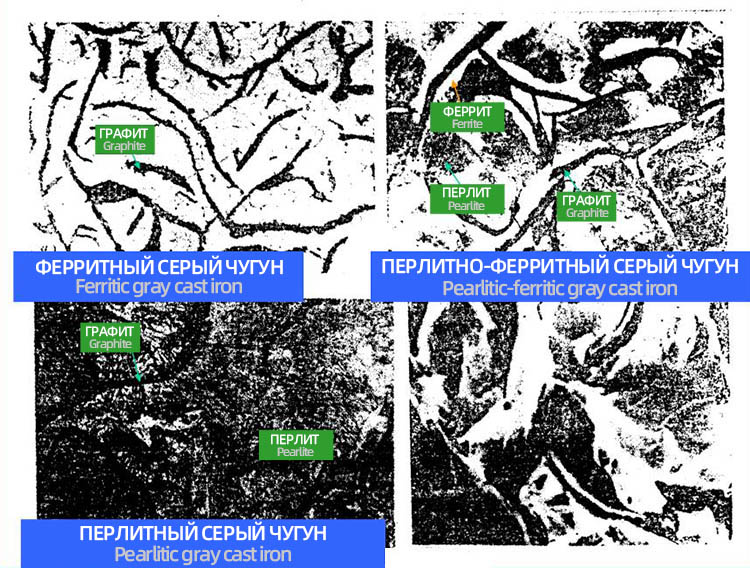Microstructure of gray cast iron graphite - ferrite - pearlite