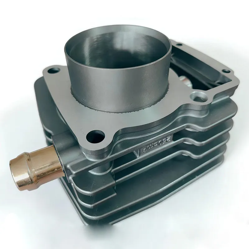 ZS HW250