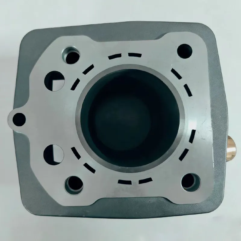 ZS HW250