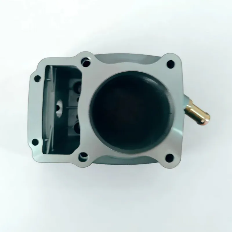 ZS HX200