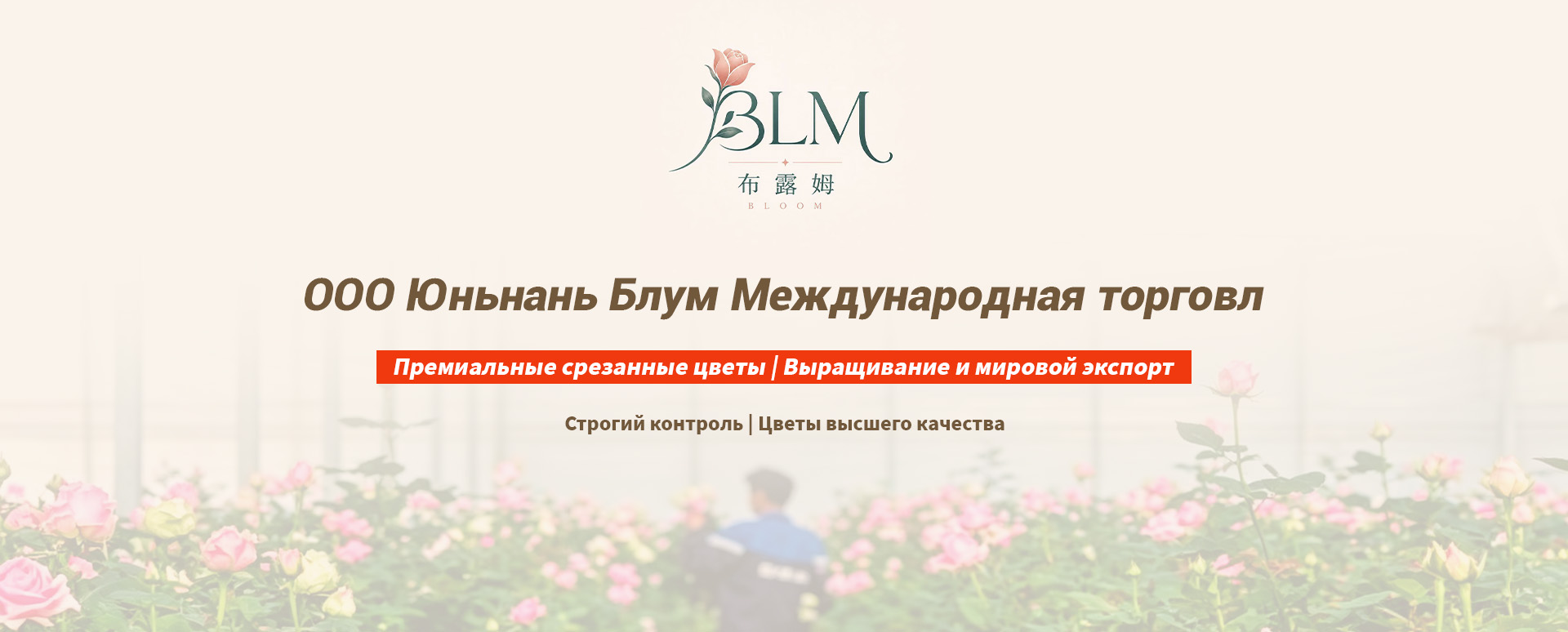 Одноголовые розы-banner3