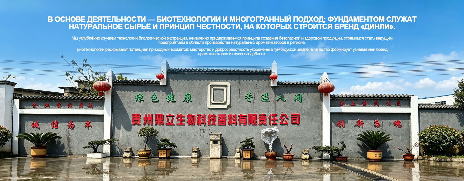 Растительные экстракты общего назначения banner2
