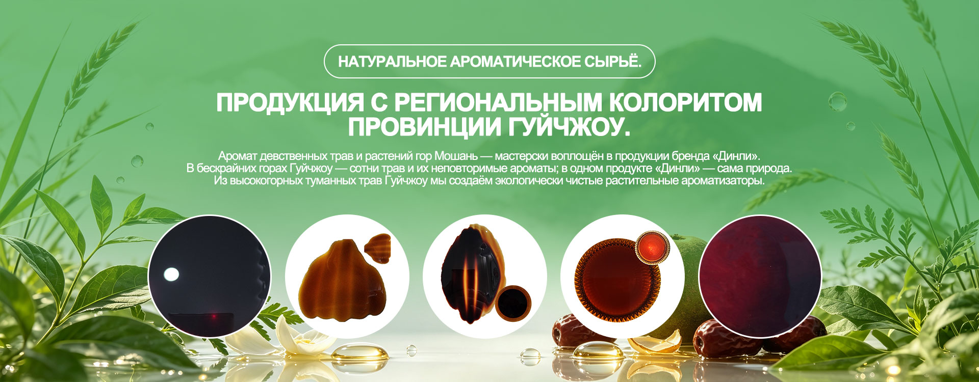 Растительные экстракты общего назначения banner3