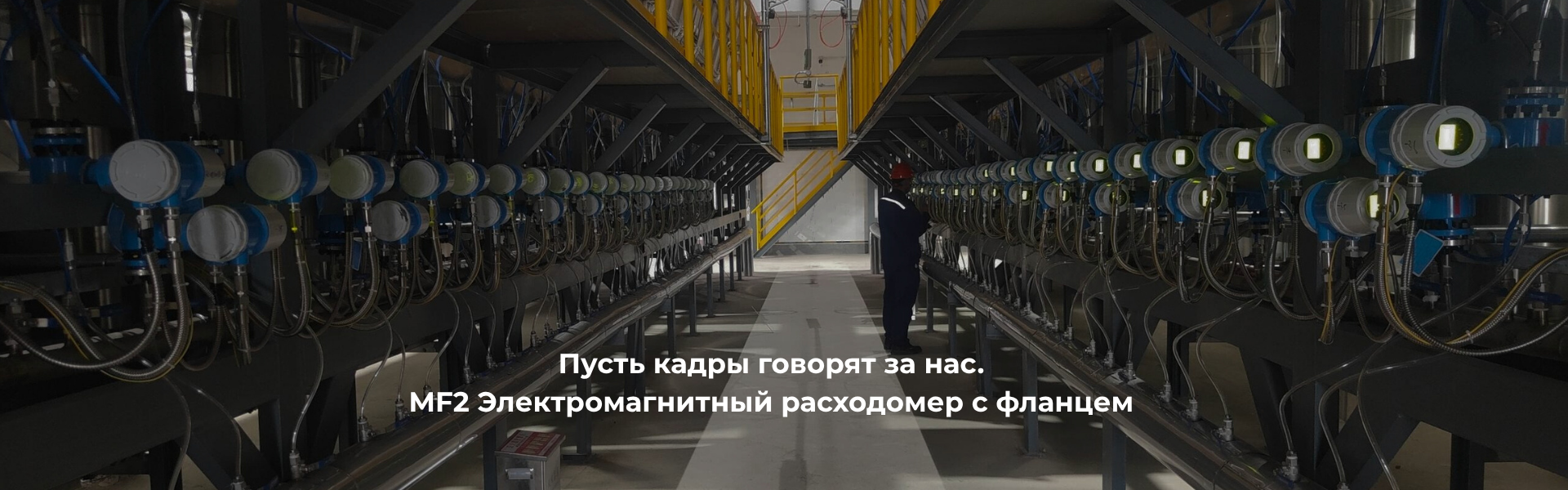 Поплавковый расходомер с металлической трубкой MF1-M2