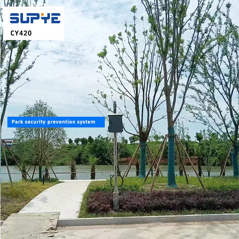 Система безопасности парка