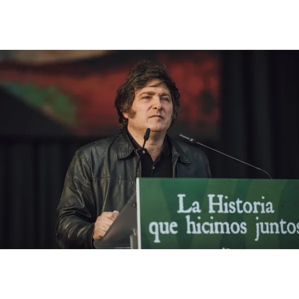 Милей стремится ускорить медный бум в Аргентине, ослабив регулирование в отношении ледников