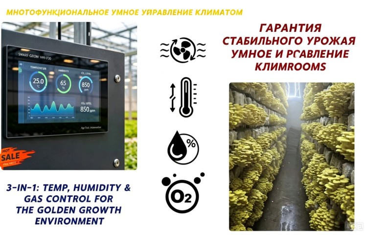 Автоматический цифровой тепловой насос OEMODM 380 В 91 (10)