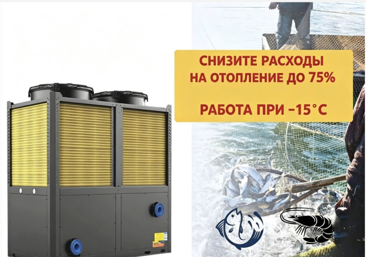 Введение на странице с подробной информацией5