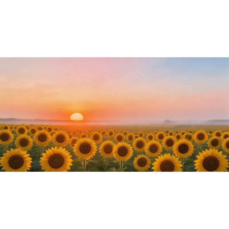 Компания Mr. Kui Foods перенимает вкус региона Хэтао, привнося «солнечный вкус» в Центральную Азию