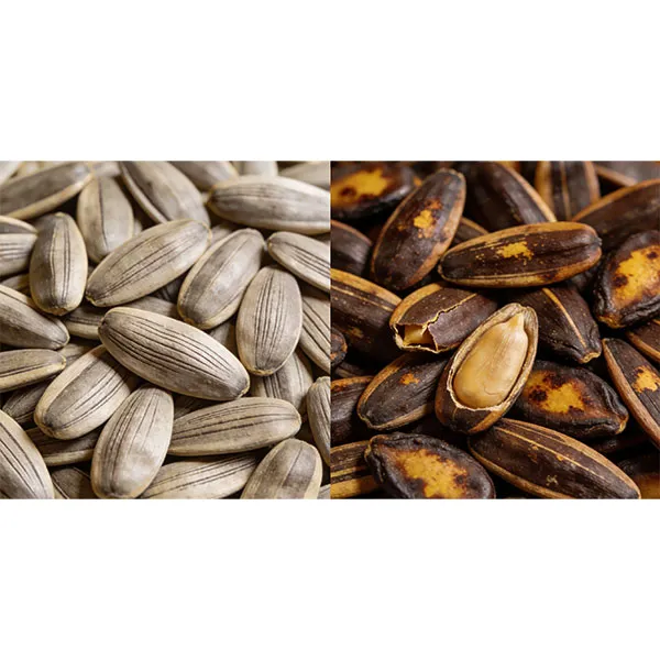 Компания «Mr. Kui» модернизирует процесс обжарки для повышения конкурентоспособности продукции на русскоязычных рынках