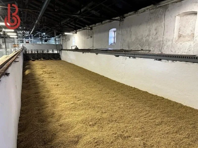 В 2023 году столетний российский ликеро-водочный завод «Саранский завод» успешно заключил партнерское соглашение с компанией ООО Шанхай Бобэнь Лёгкопромышленное Механическое Оборудование.