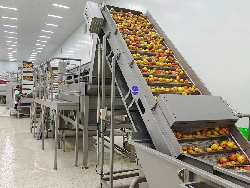 Оборудование для фруктовых вин