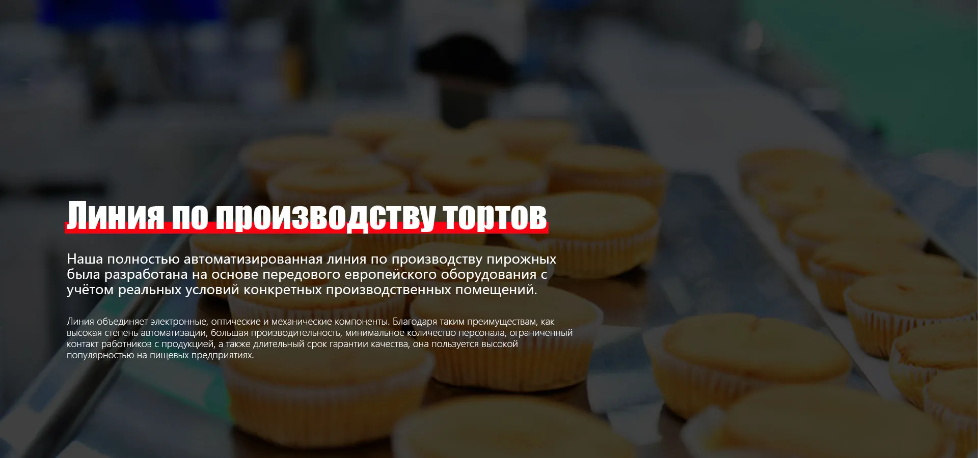 Линии по производству печенья banner2