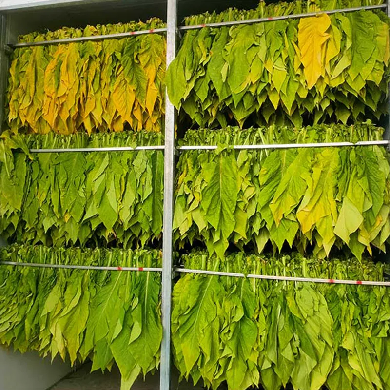 Парогенератор с микроперегревом в композитной камере: надёжный защитник качества и помощник в энергосбережении для табаководов