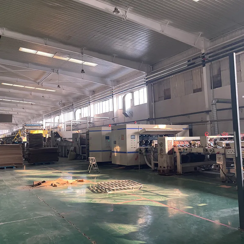 Упаковка Шаньдун