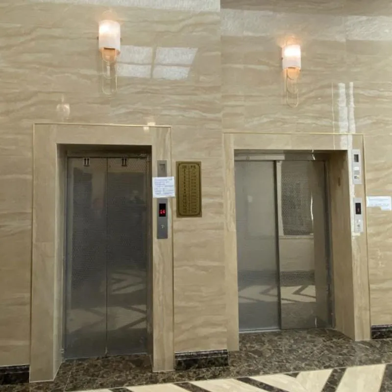 Пассажирский лифт без машинного помещения