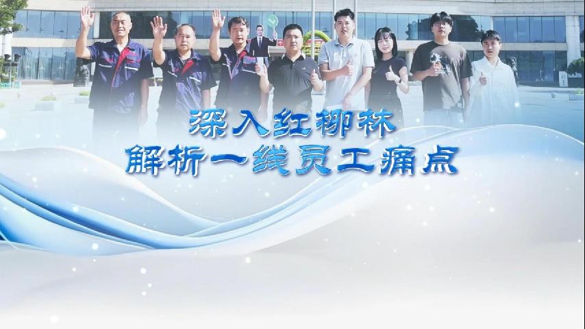Системы крепления горных выработок Tengsheng Zhihui на проекте Hongliulin Mining