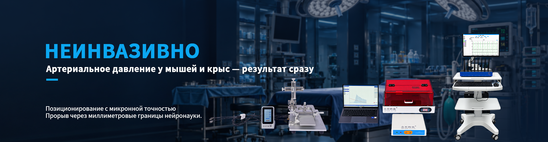 Семнадцать лет — один отточенный меч