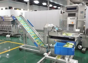 машина для нарезки салата