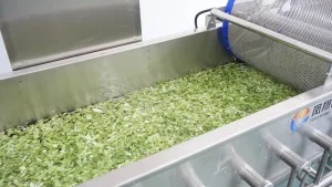 машина для мытья овощных салатов