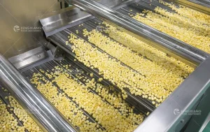 машина для мойки сладкой кукурузы