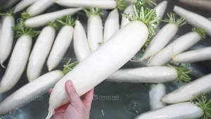 машина для мойки редиса