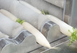 машина для мойки редиса