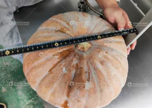 машина для снятия кожуры с тыквы