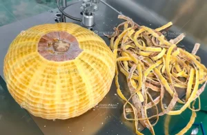 машина для очистки тыквы