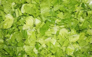 машина для нарезки салата