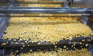 Вибрационный дренажный конвейер, вибрационный дренажный конвейер для кукурузы, вибрационное дренирование зёрен, удаление влаги с кукурузных зёрен