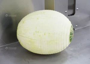 машина для очистки арбуза