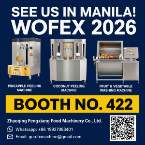 Выставка на Филиппинах WOFEX 2026