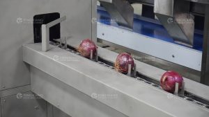 Линия очистки лука, Оборудование для очистки лука