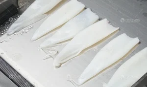 машина для снятия шкуры с кальмаров