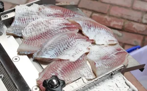 Машина для снятия шкуры с рыбы