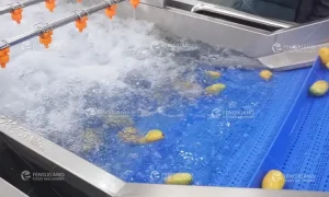 Машина для мойки фруктов и овощей с пузырьковой мойкой