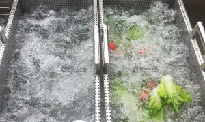 стиральная машина с пузырьками для овощей