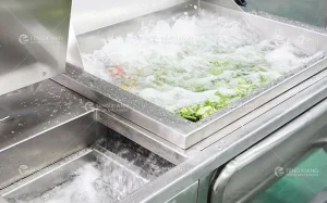 Машина для мойки фруктов и овощей