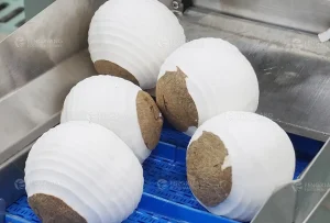 машина для очистки кокосов