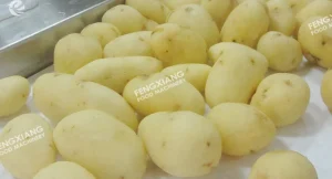 машина для очистки овощей