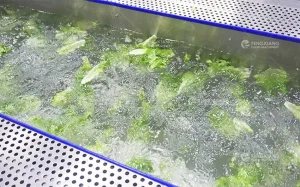 машина для мойки салата