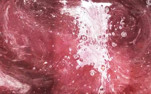 пресс для граната