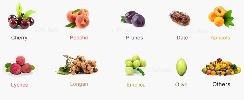 машина для удаления косточек из зизифуса